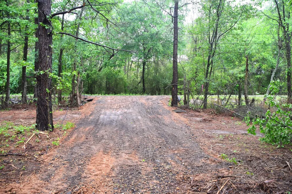 Collins Road Nash, TX 75569