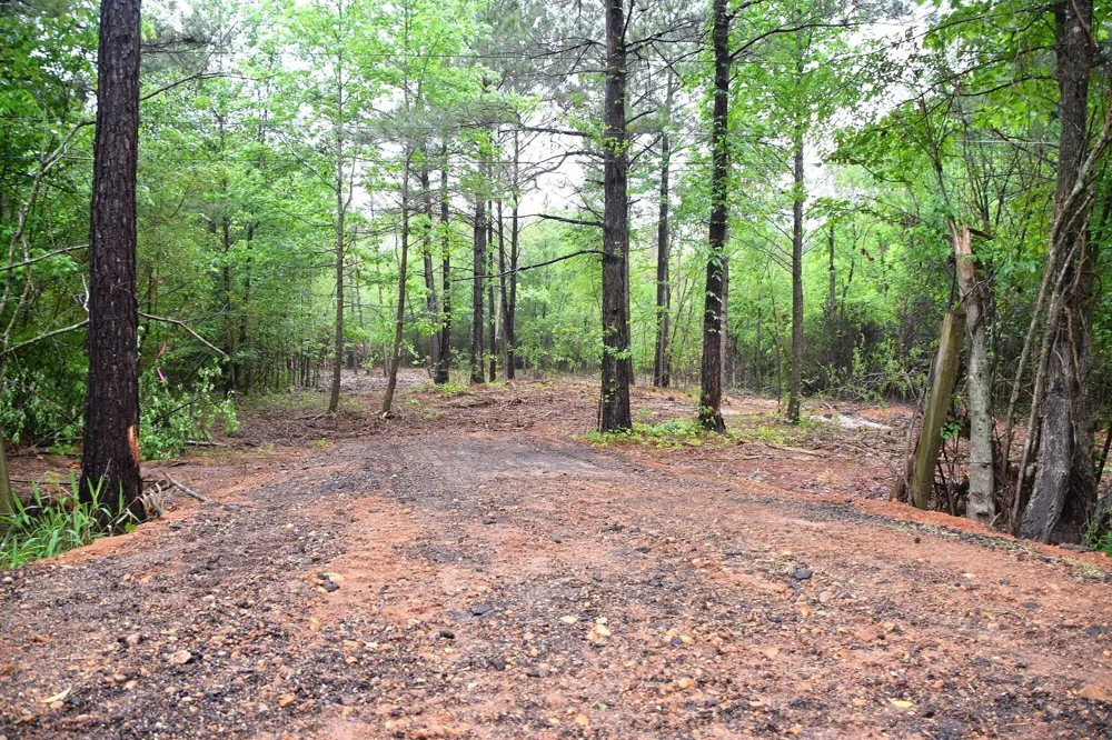 Collins Road Nash, TX 75569