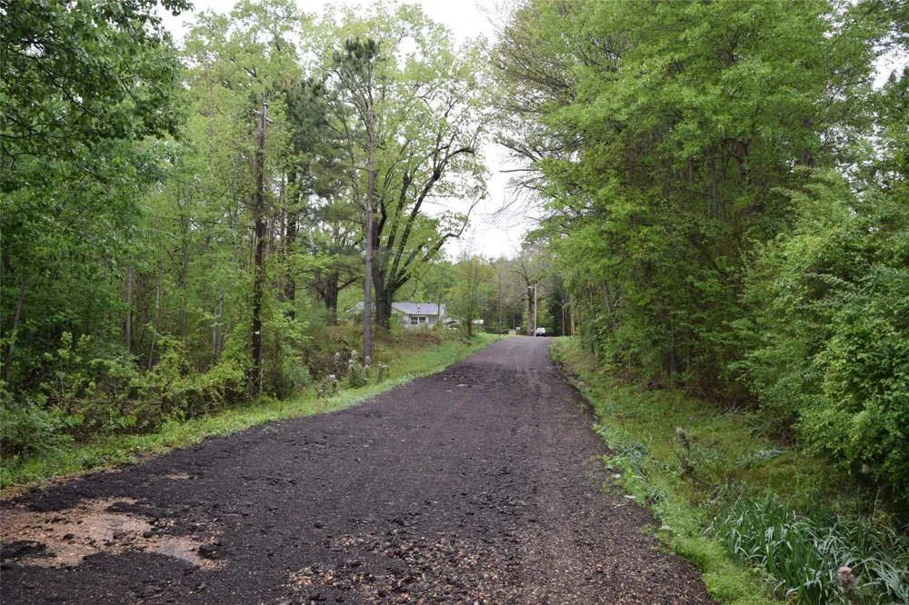 Collins Road Nash, TX 75569