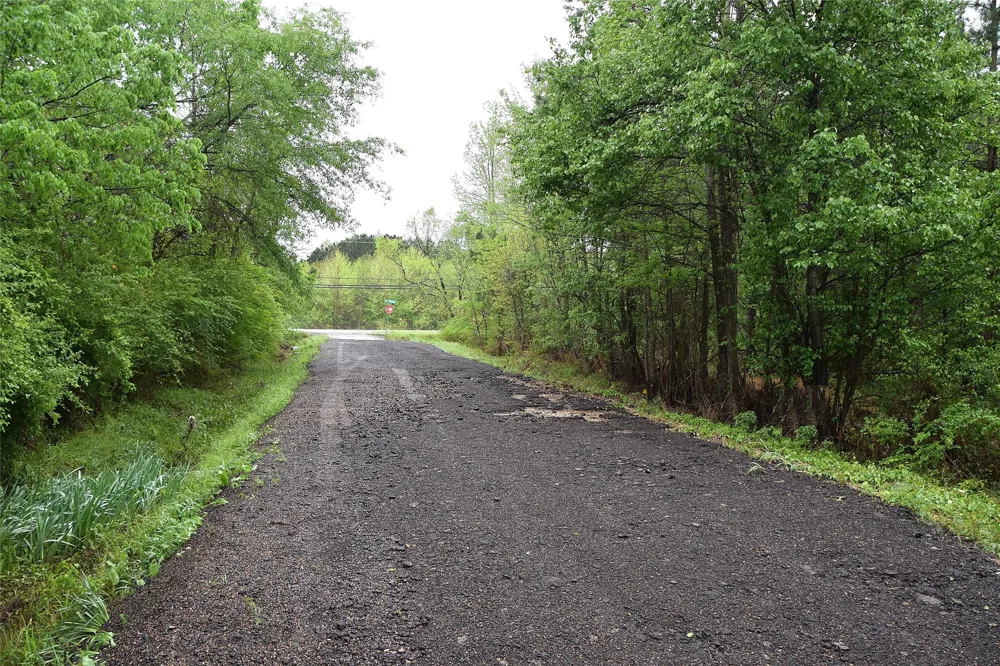 Collins Road Nash, TX 75569