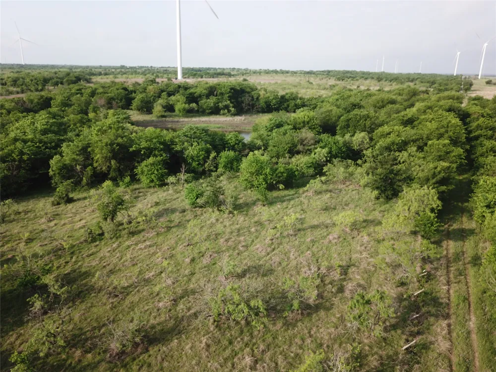 321 LCR 208A Coolidge, TX 76635