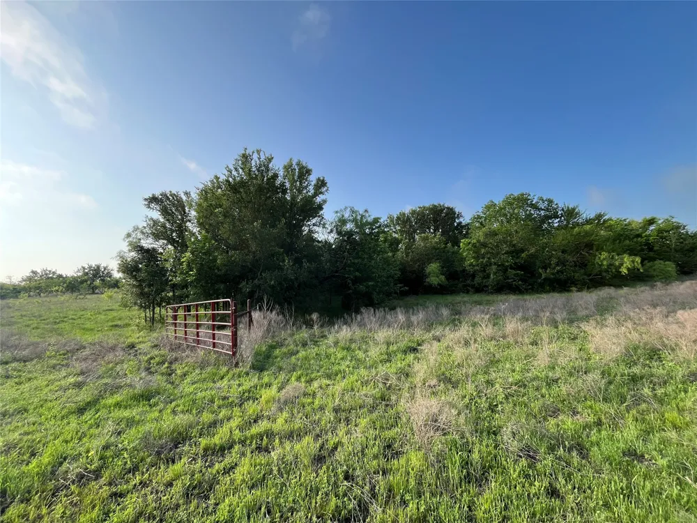321 LCR 208A Coolidge, TX 76635