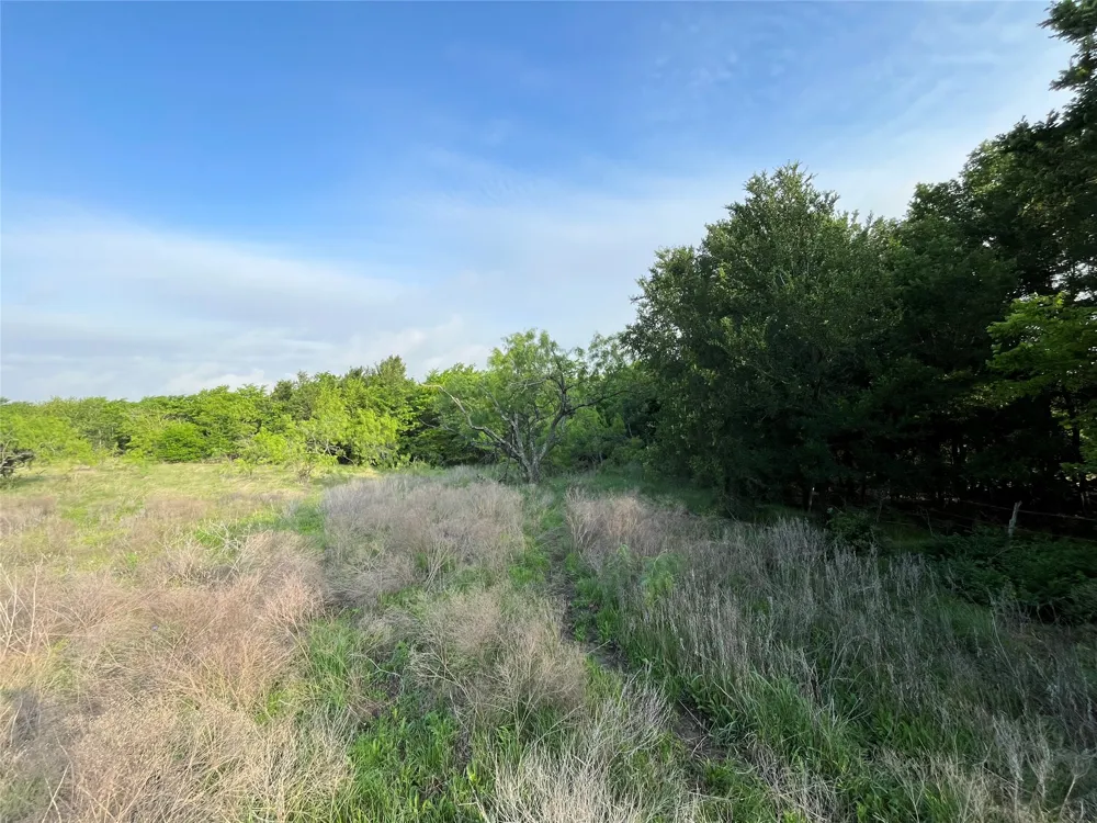 321 LCR 208A Coolidge, TX 76635