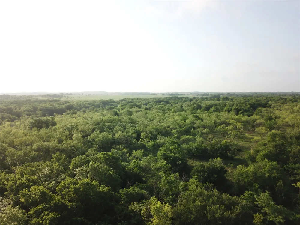 321 LCR 208A Coolidge, TX 76635