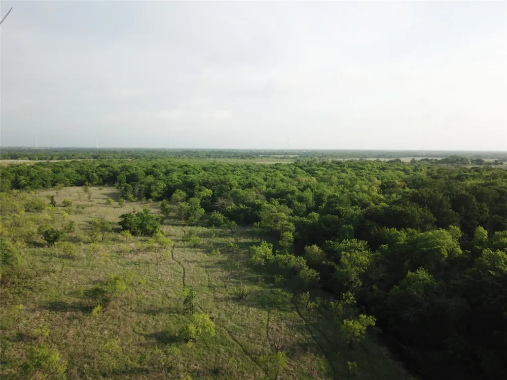 321 LCR 208A Coolidge, TX 76635