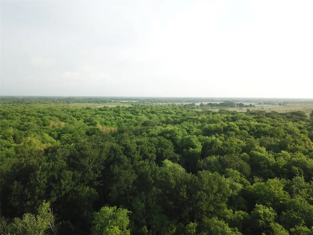 321 LCR 208A Coolidge, TX 76635