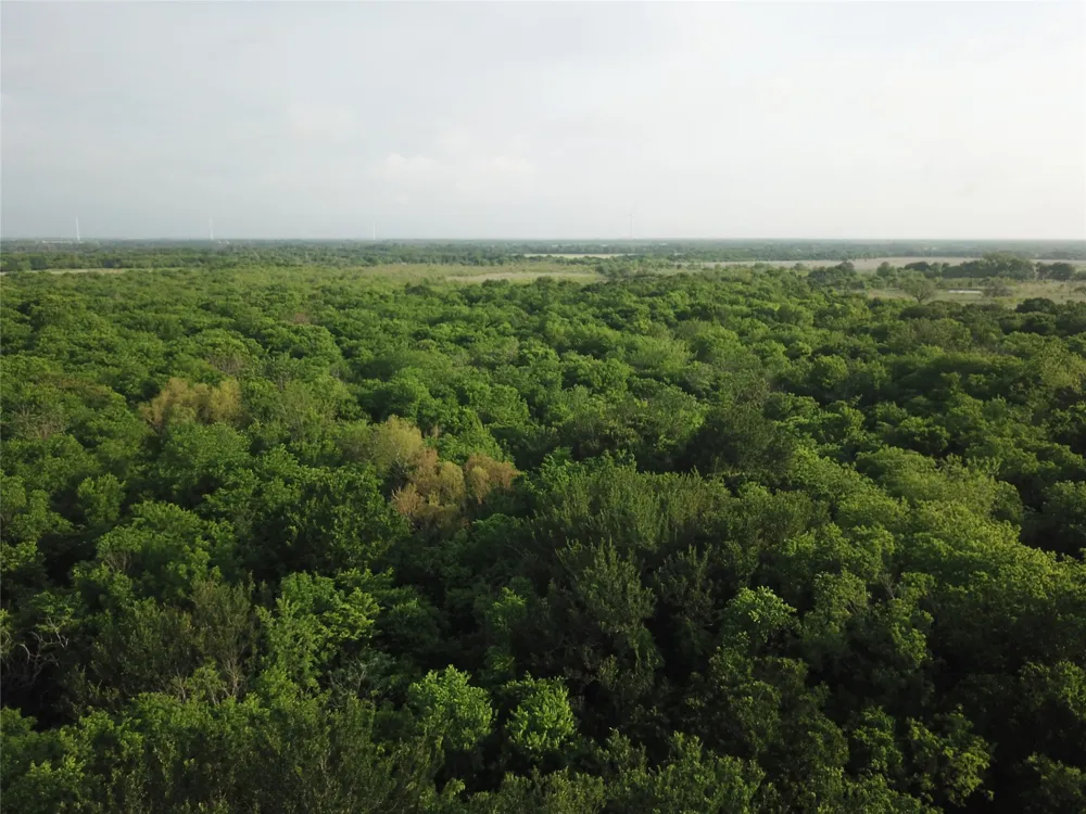 321 LCR 208A Coolidge, TX 76635