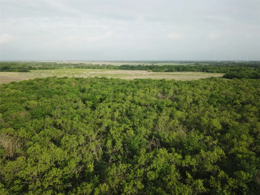 321 LCR 208A Coolidge, TX 76635
