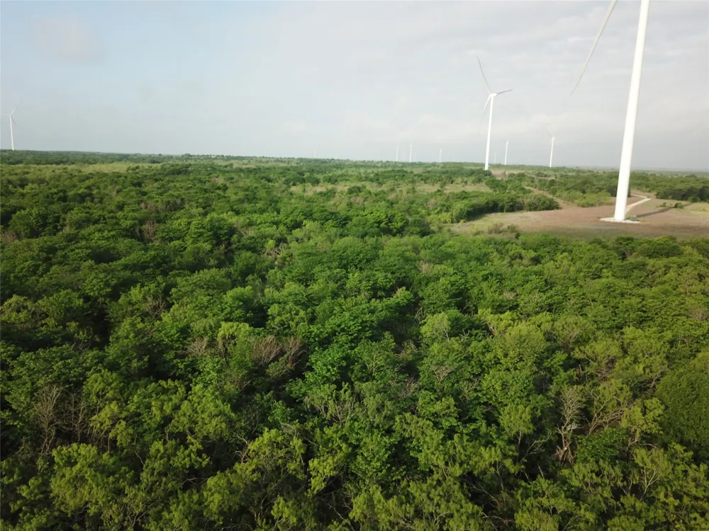 321 LCR 208A Coolidge, TX 76635