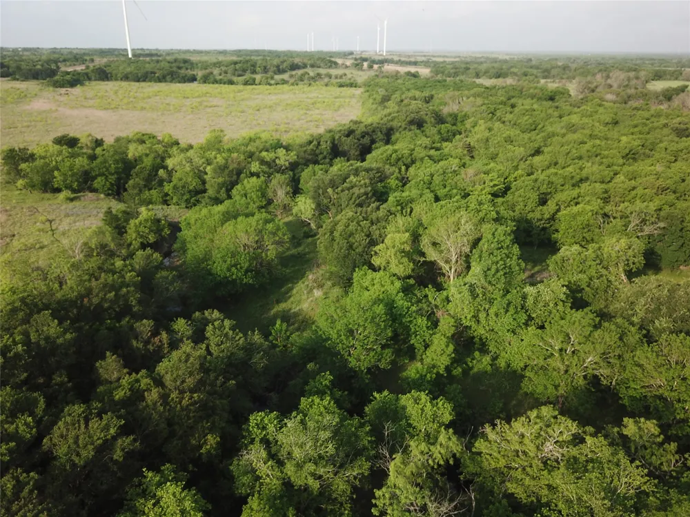 321 LCR 208A Coolidge, TX 76635