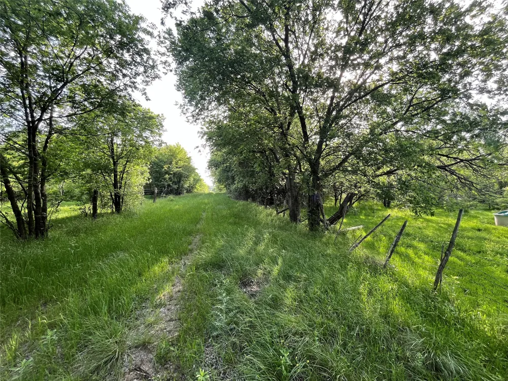 321 LCR 208A Coolidge, TX 76635