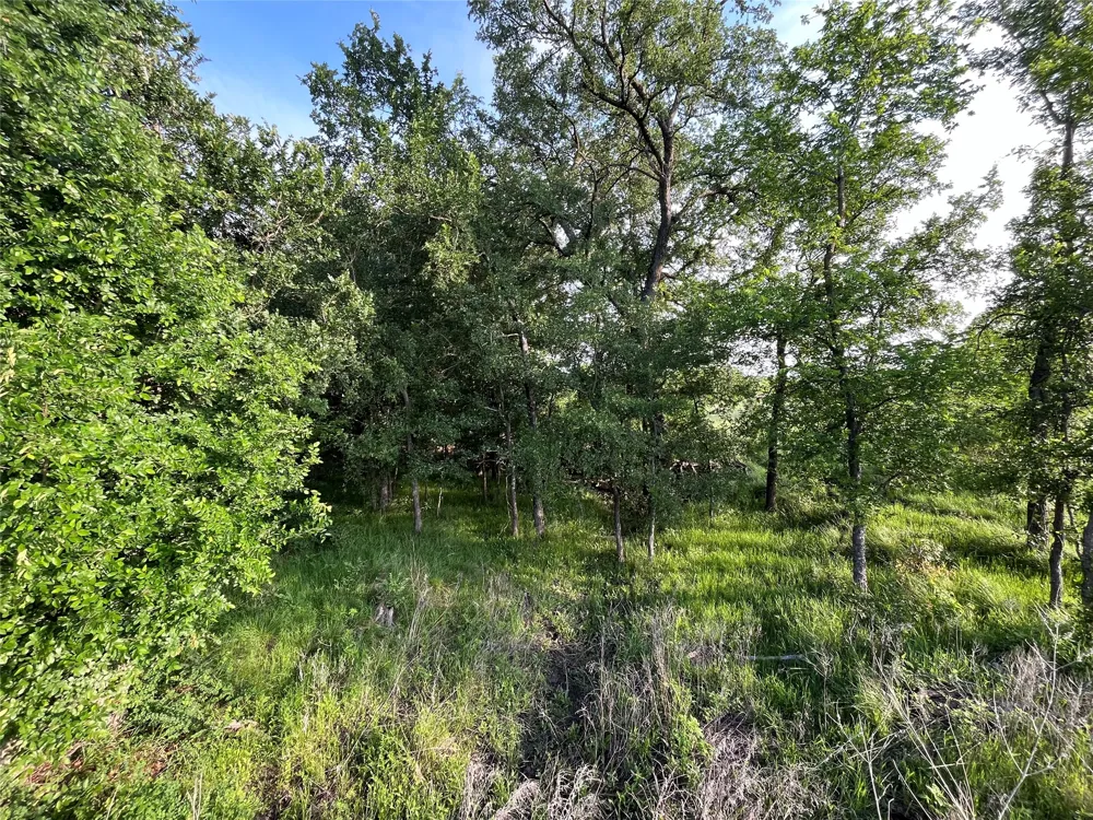 321 LCR 208A Coolidge, TX 76635