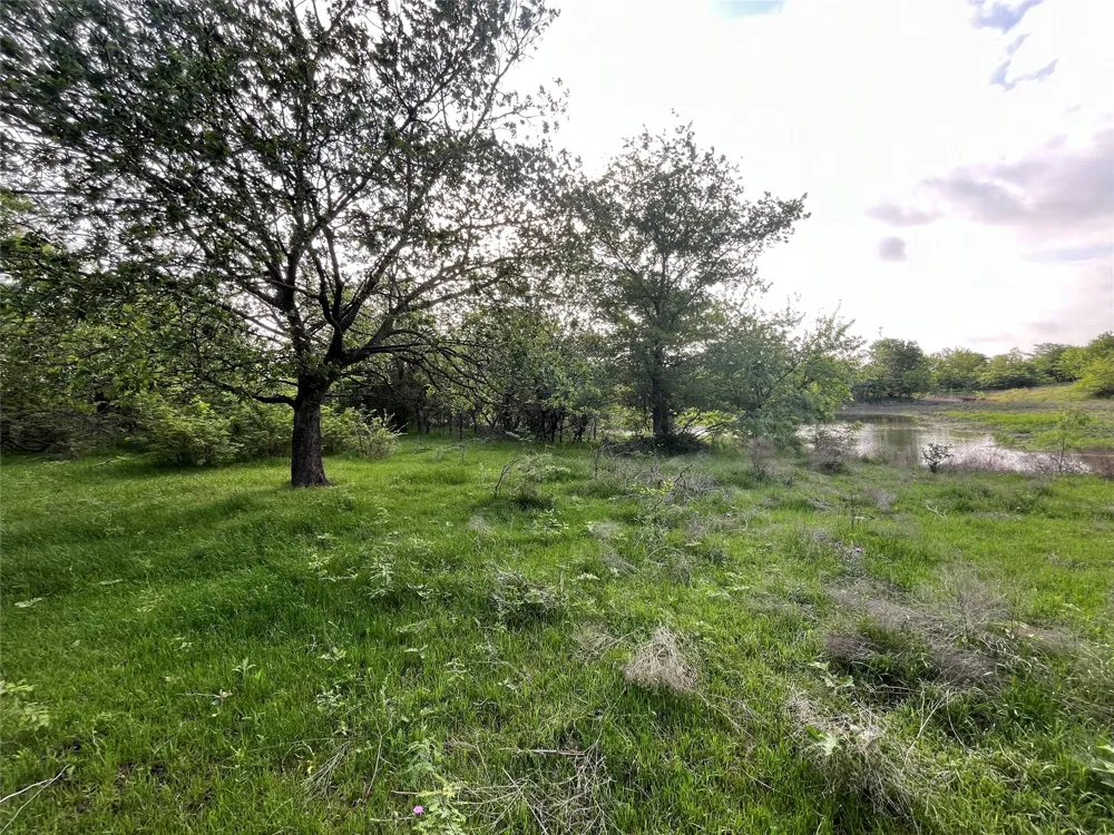 321 LCR 208A Coolidge, TX 76635