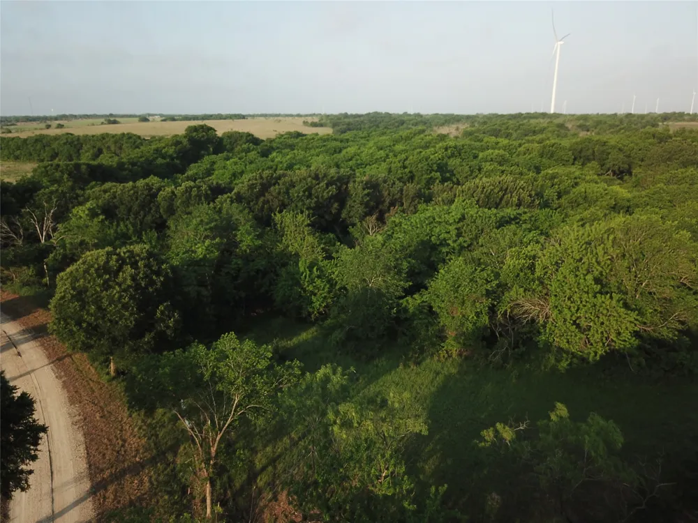 15 LCR 219 Coolidge, TX 76635