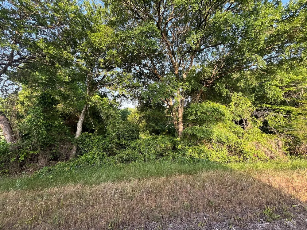 15 LCR 219 Coolidge, TX 76635