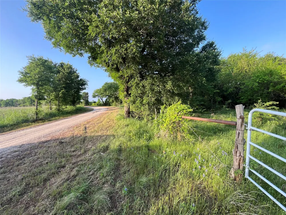 15 LCR 219 Coolidge, TX 76635