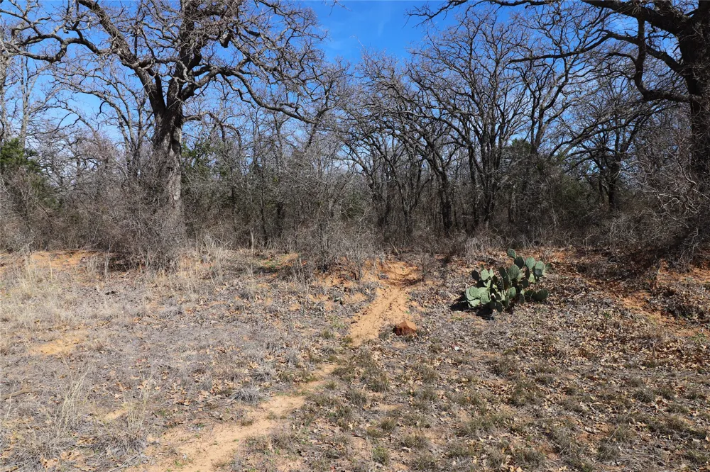 CR 139 Bangs, TX 76823