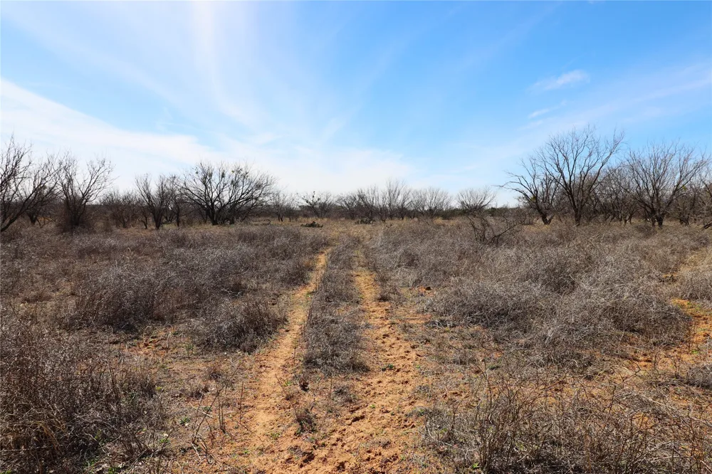 CR 139 Bangs, TX 76823