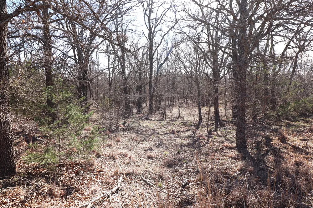 CR 139 Bangs, TX 76823
