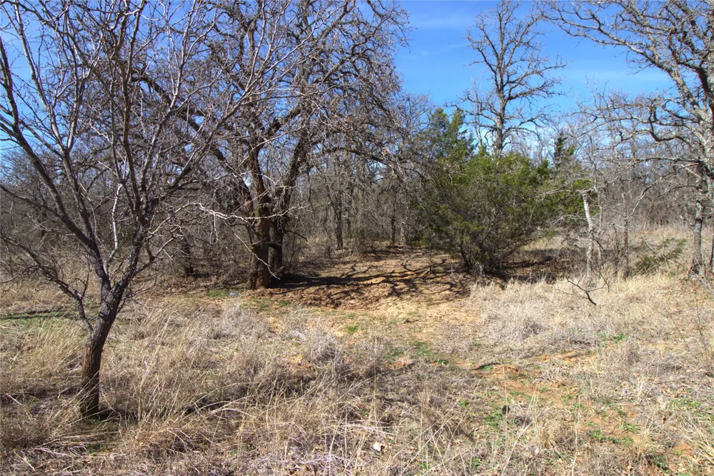 CR 139 Bangs, TX 76823
