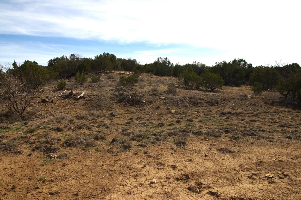 CR 139 Bangs, TX 76823