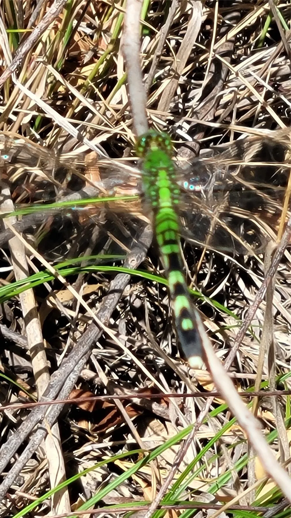 CR 139 Bangs, TX 76823