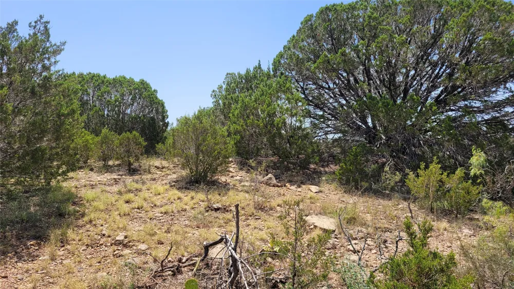 CR 139 Bangs, TX 76823