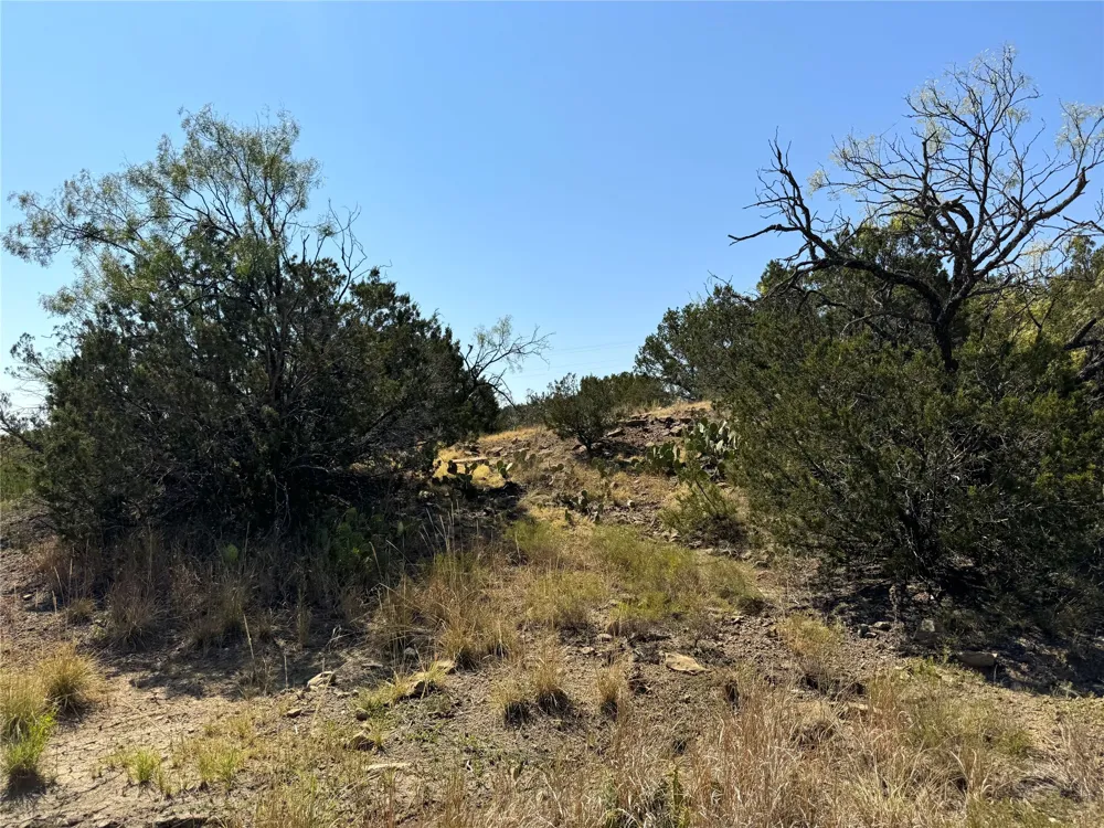 CR 139 Bangs, TX 76823