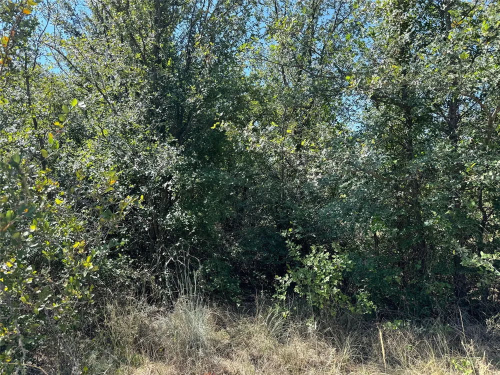 CR 139 Bangs, TX 76823