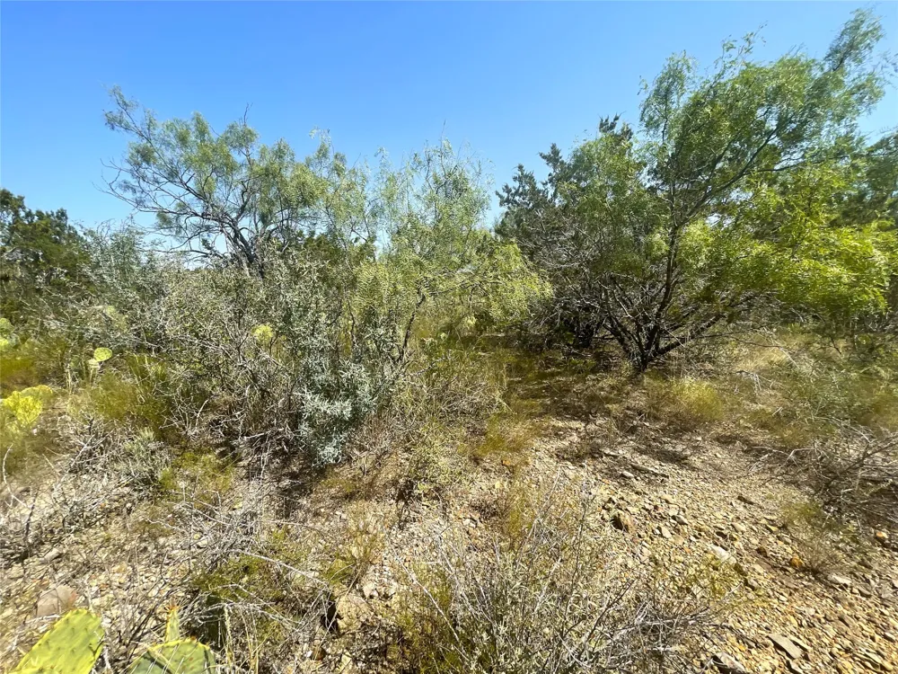 CR 139 Bangs, TX 76823