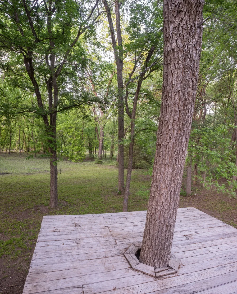 1451 Meandro Ria Lane Fairview, TX 75069