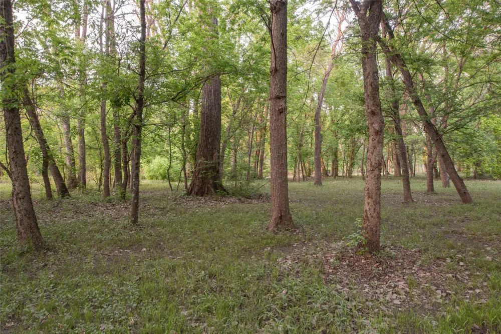 1451 Meandro Ria Lane Fairview, TX 75069