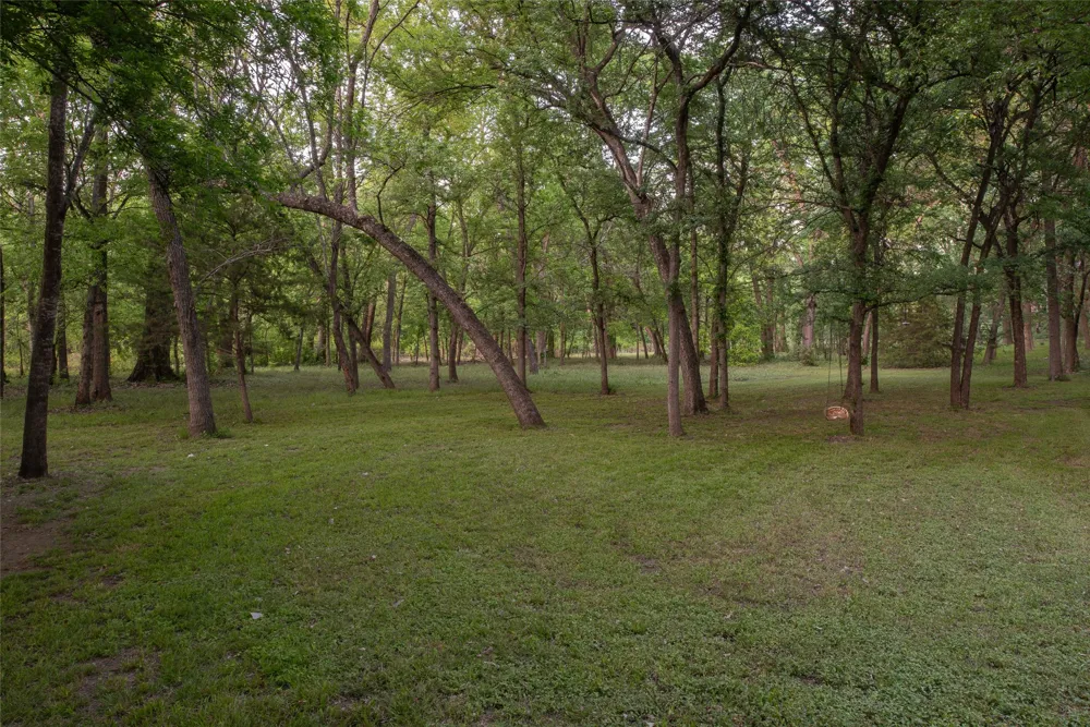 1451 Meandro Ria Lane Fairview, TX 75069