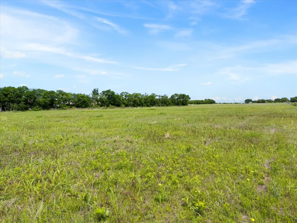 FM 3133 Van Alstyne, TX 75495