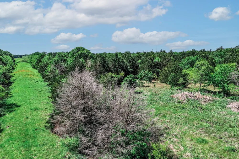 County Road 308 Terrell, TX 75160