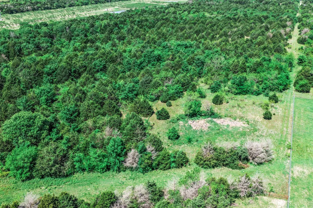 County Road 308 Terrell, TX 75160