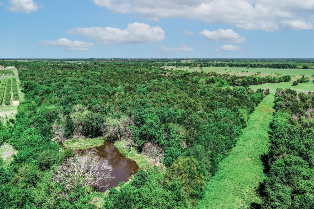 County Road 308 Terrell, TX 75160