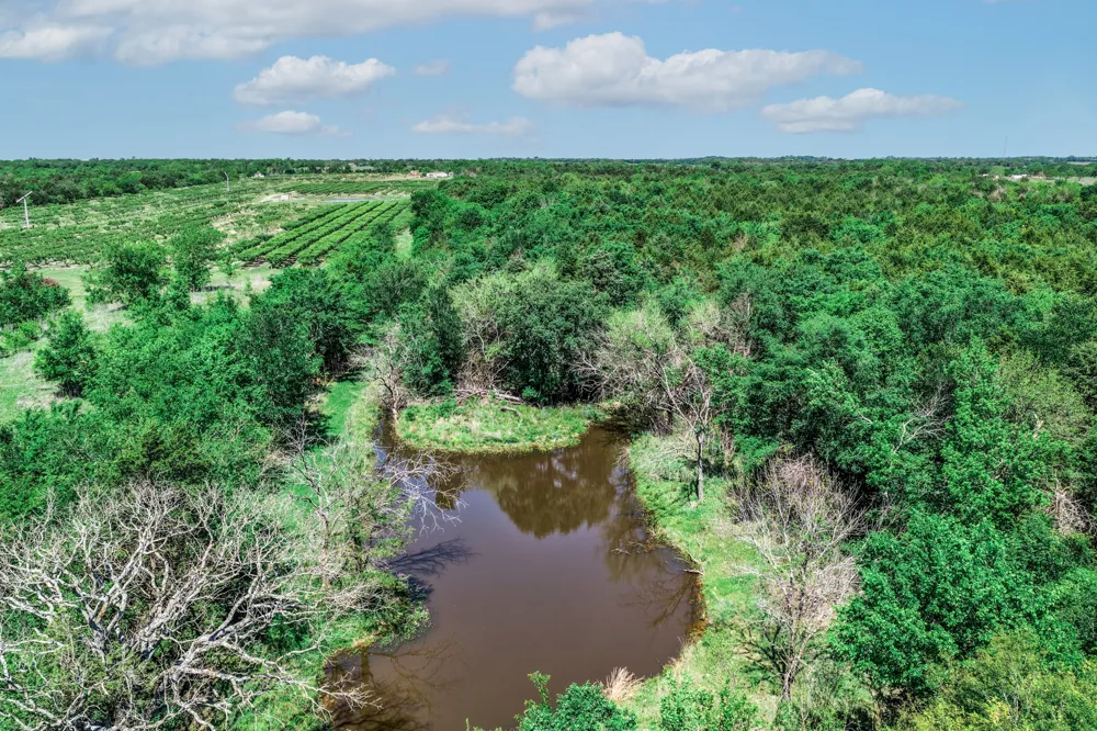 County Road 308 Terrell, TX 75160