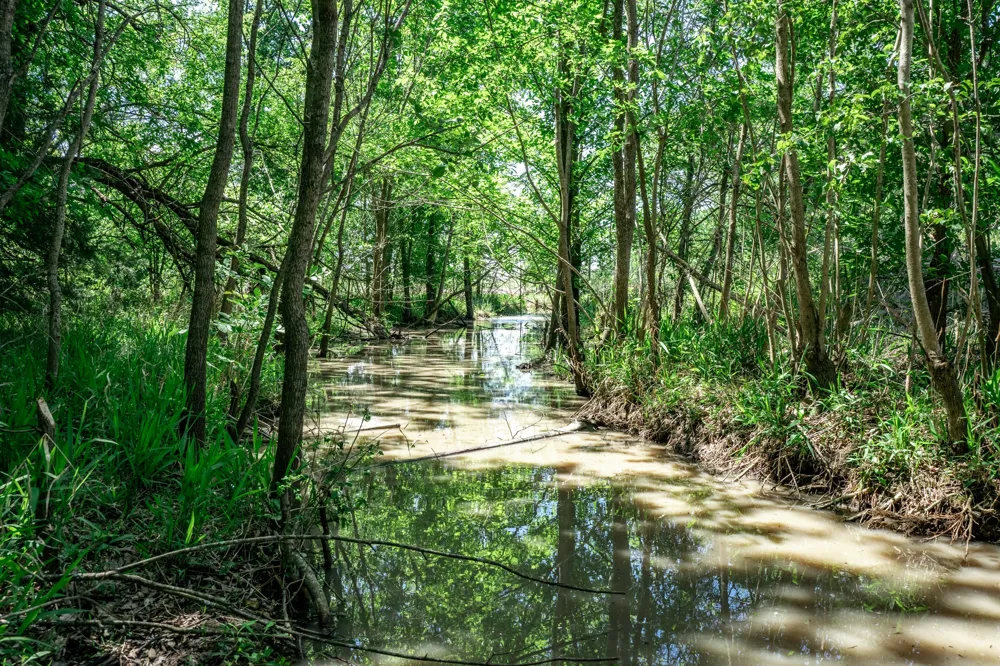 County Road 308 Terrell, TX 75160