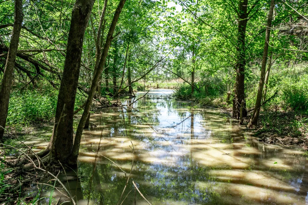 County Road 308 Terrell, TX 75160