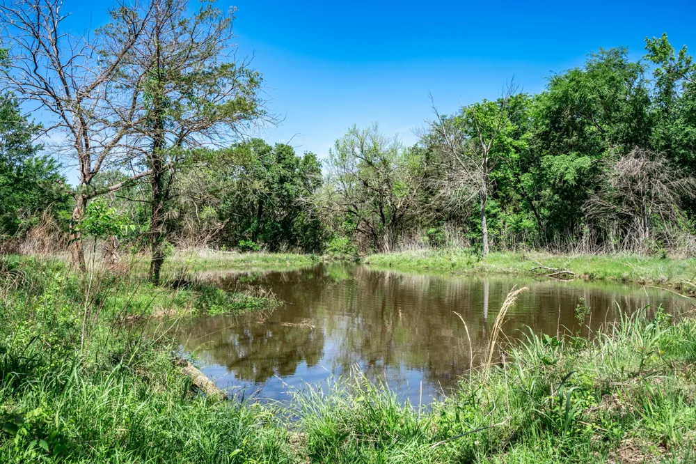 County Road 308 Terrell, TX 75160