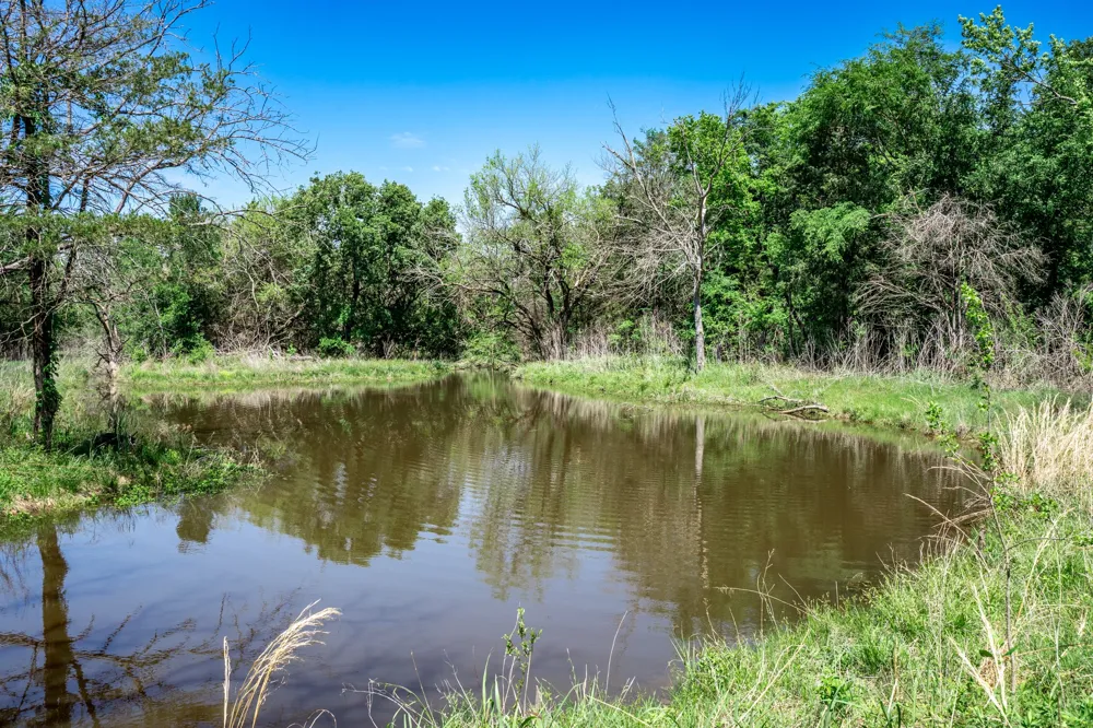 County Road 308 Terrell, TX 75160