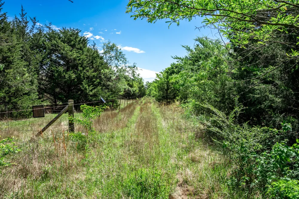 County Road 308 Terrell, TX 75160