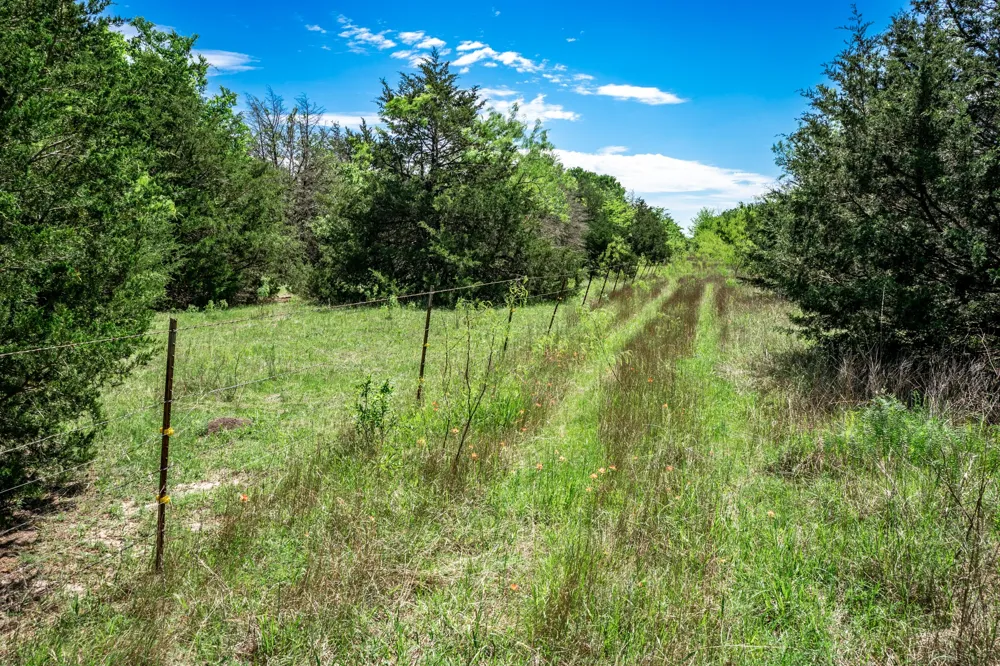 County Road 308 Terrell, TX 75160