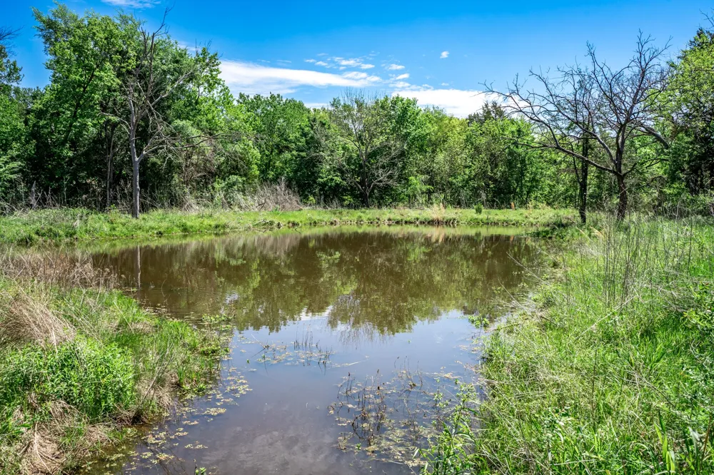 County Road 308 Terrell, TX 75160