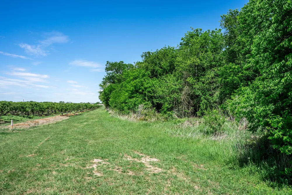 County Road 308 Terrell, TX 75160