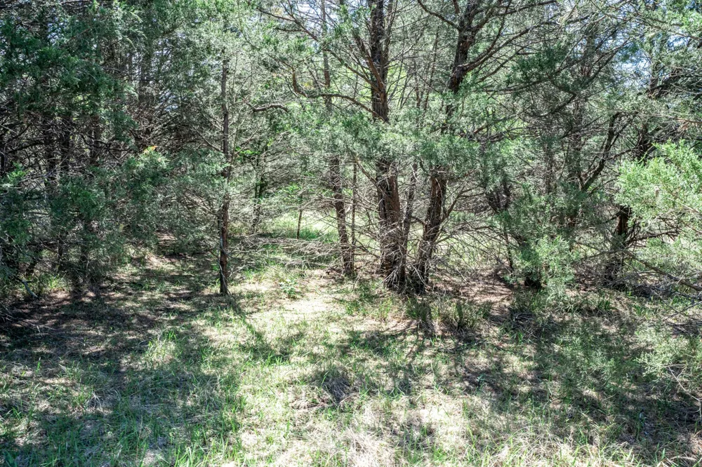 County Road 308 Terrell, TX 75160