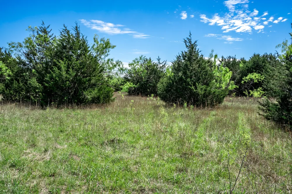 County Road 308 Terrell, TX 75160
