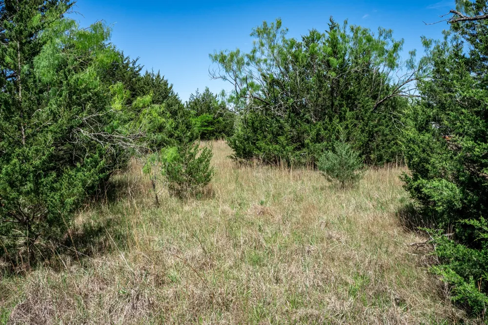 County Road 308 Terrell, TX 75160
