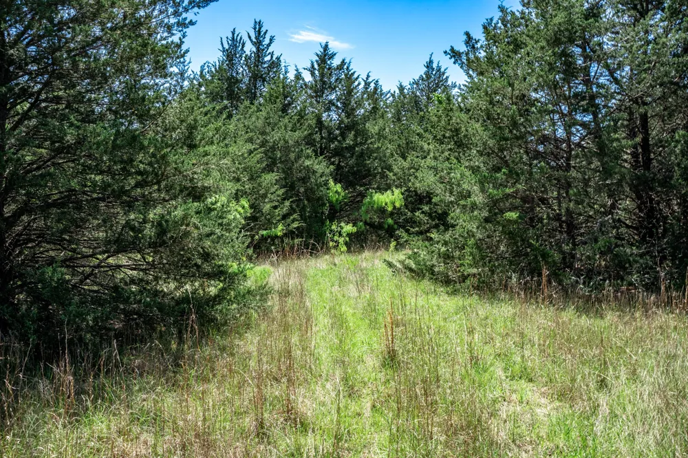 County Road 308 Terrell, TX 75160
